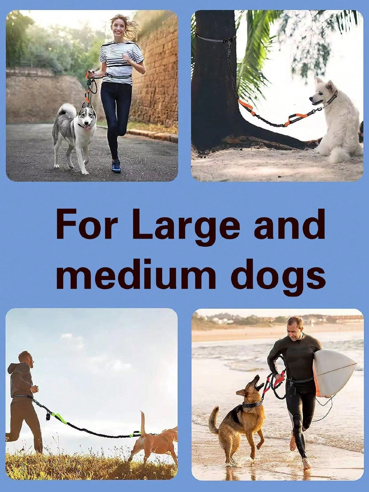 1 Piece Dog Leash With Elastic Reflective Thread, Pet Supplies For Outdoor Walking, Running
