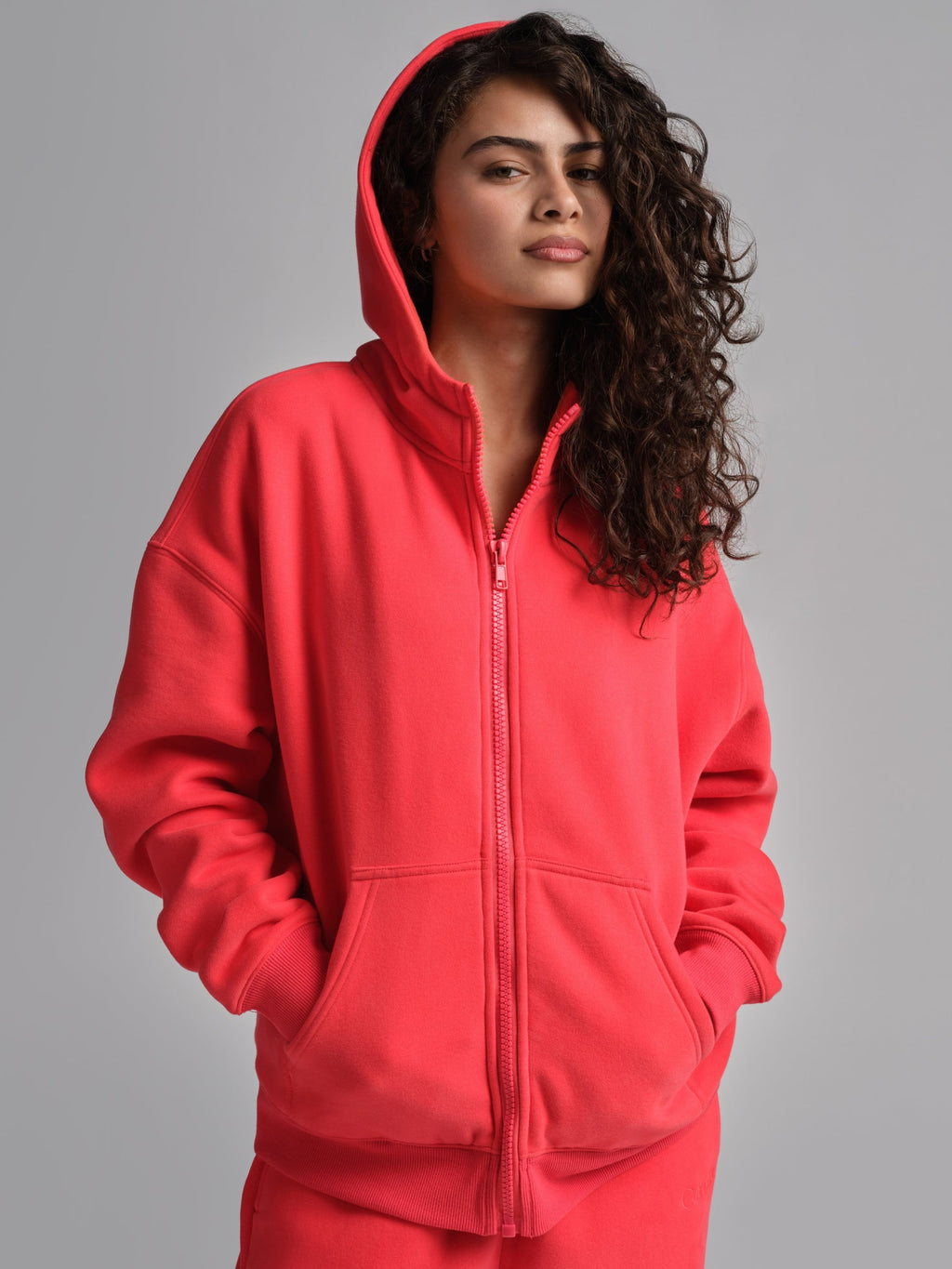 Basic Crop Zip Hoodie