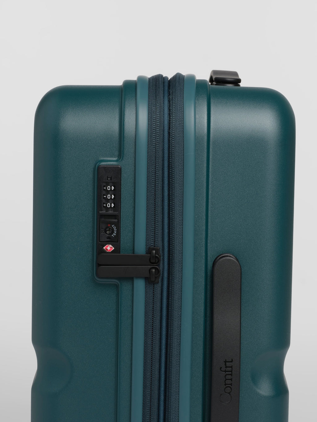 Carry-On Companion Luggage