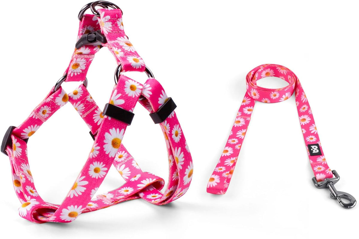 QQPETS Dog Harness Leash Set Adjustable Heavy Duty No Pull Halter Harnesses for Small Medium Large Breed Dogs Back Clip Anti-Twist Perfect for Walking (S(14"-20" Chest Girth), Daisy)