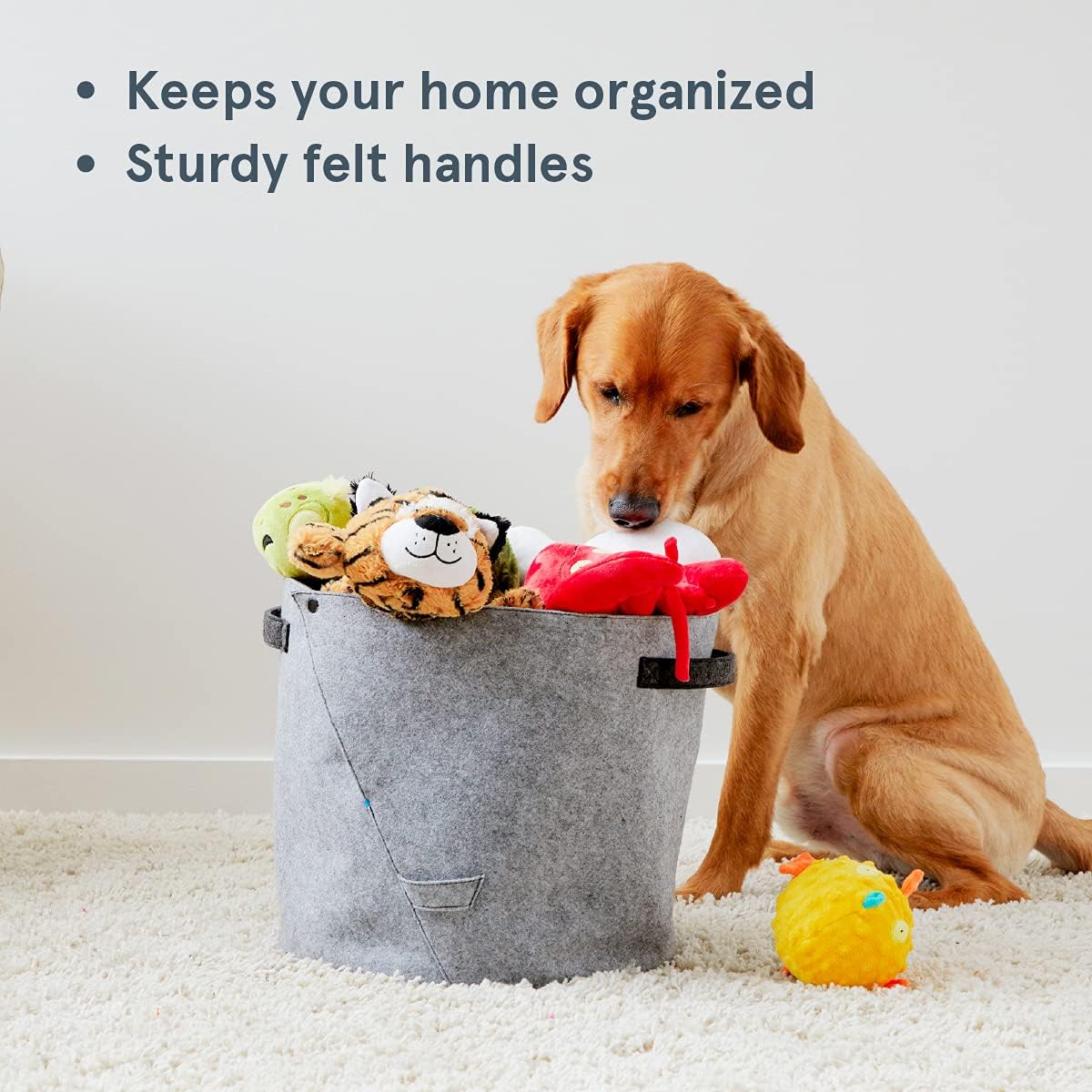 Barkbox – Felt Storage Bin for Dog Toys – Long Lasting Pet Supplies Container – Dog Home Decor Organizer for Tennis Balls, Squeaker Toys, Leashes, Collars and More – Standard Size 12” x 13”