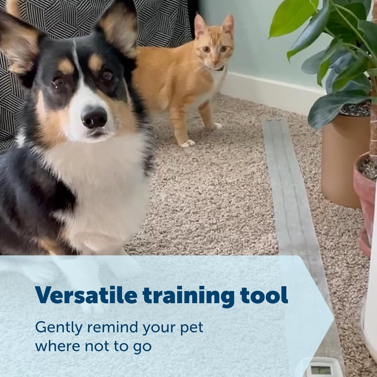 PetSafe ScatMat Indoor Training Mat