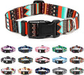 Mercano Adjustable Dog Collar - Special Design Patterns, Soft Nylon Comfortable Durable Pet Collar for Small Medium Large Dogs (M, Tribal Green)
