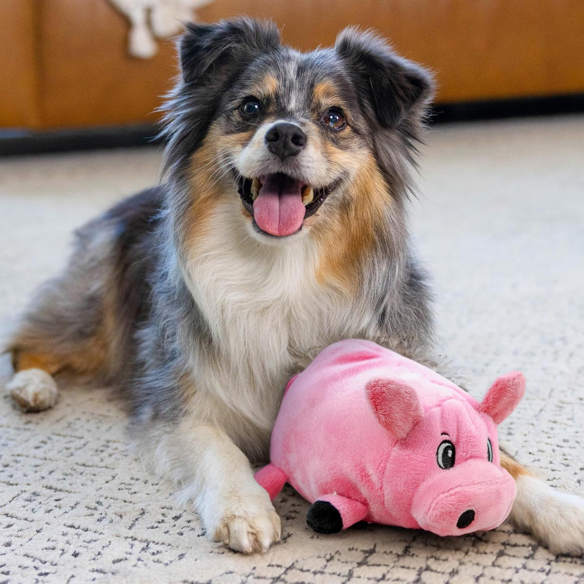 Outward Hound Fattiez Pig Plush Squeaky Dog Toy, Small
